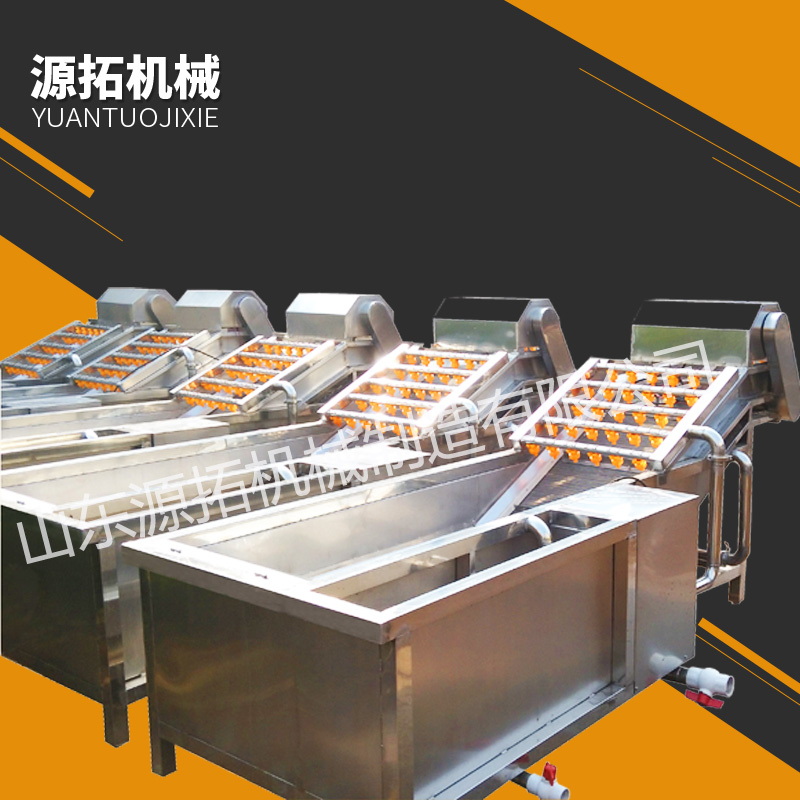 蔬菜果蔬清洗机 不锈钢果蔬加工设备