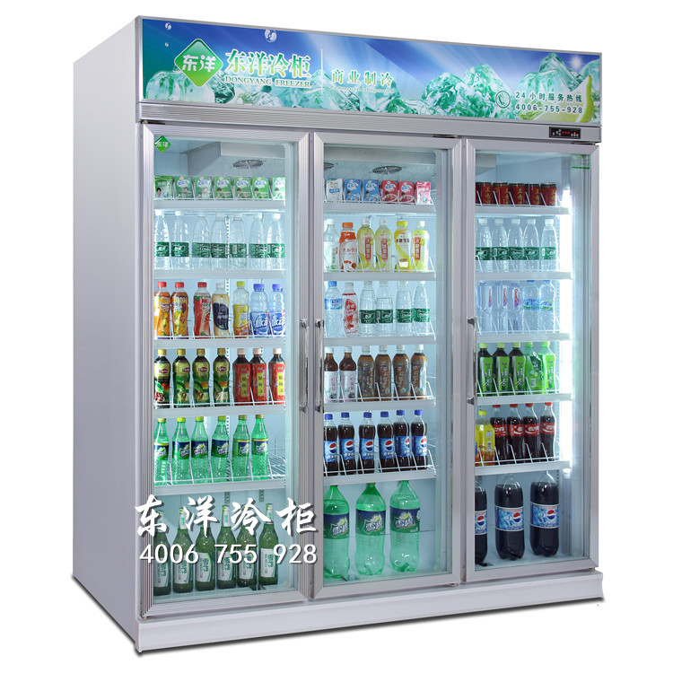 东莞便利店冷柜什么牌子的好 深圳水果保鲜