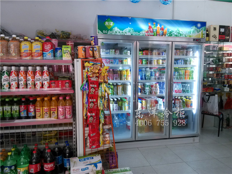 东莞便利店冷柜什么牌子的好 深圳水果保鲜