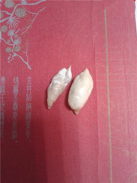 鱼宝怎么去鉴定真假