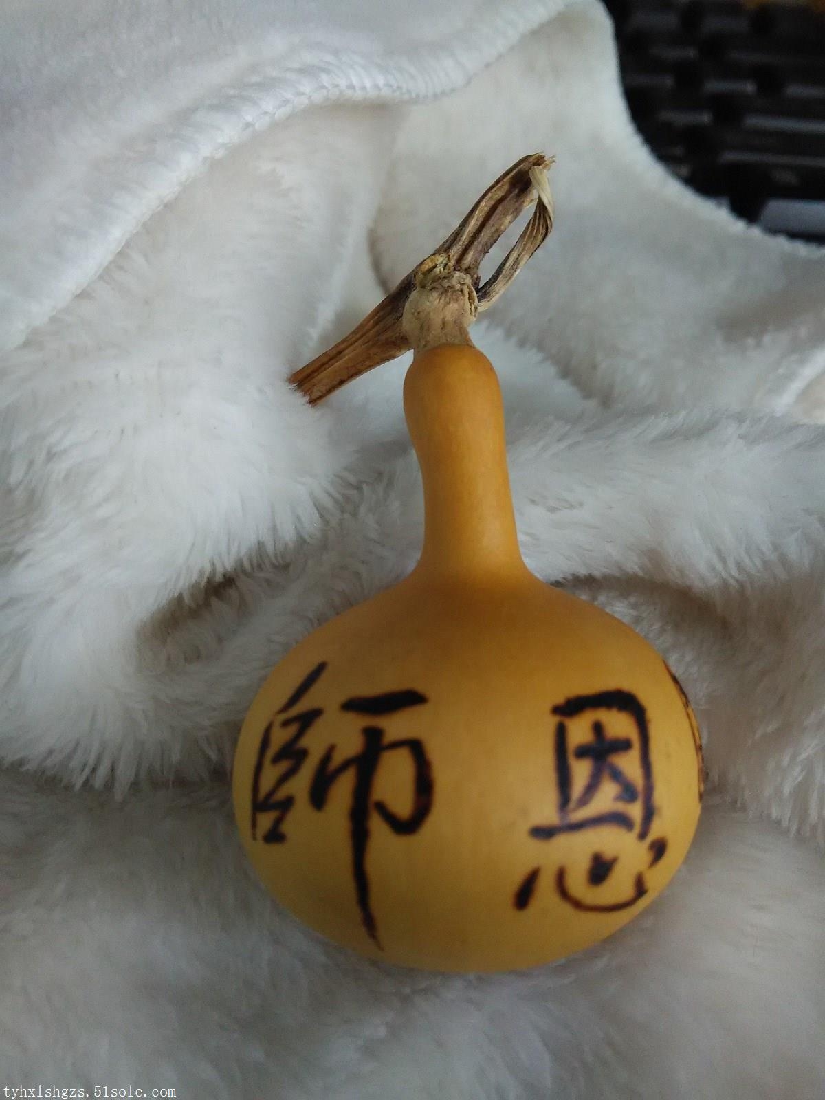 太原少儿美术培训葫芦烙画培训 国画油画培训