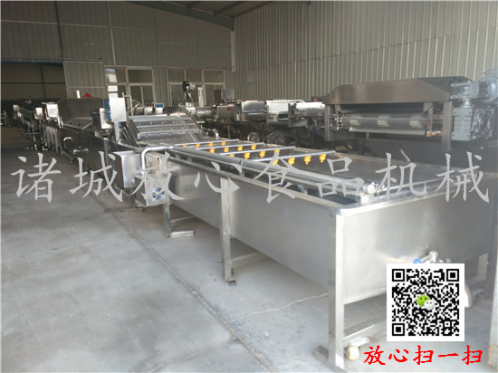 FX-800全自动连续式蔬菜清洗机