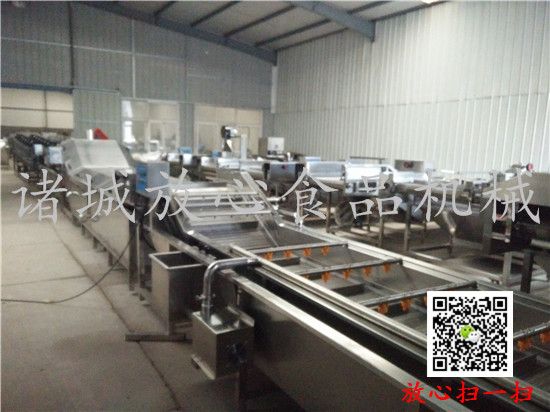 FX-800全自动连续式蔬菜清洗机