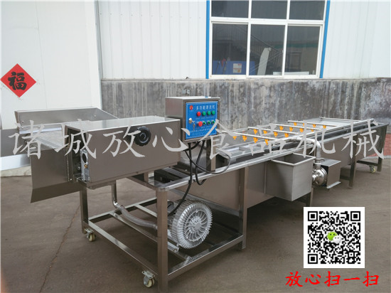 FX-800全自动连续式蔬菜清洗机