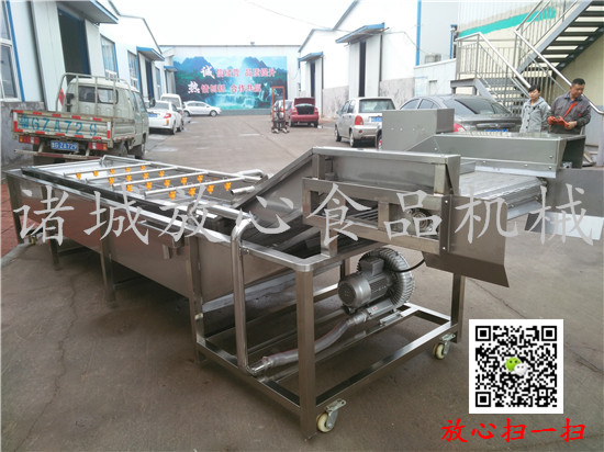 FX-800全自动连续式蔬菜清洗机