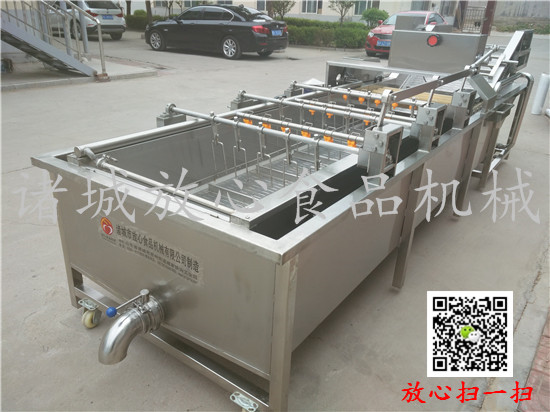 FX-800全自动连续式蔬菜清洗机