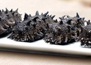 大连刺参价格多少一斤 如何发干海参好方法图