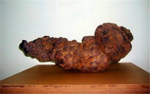 【千年何首乌的收购方式有那些现金收购】价格