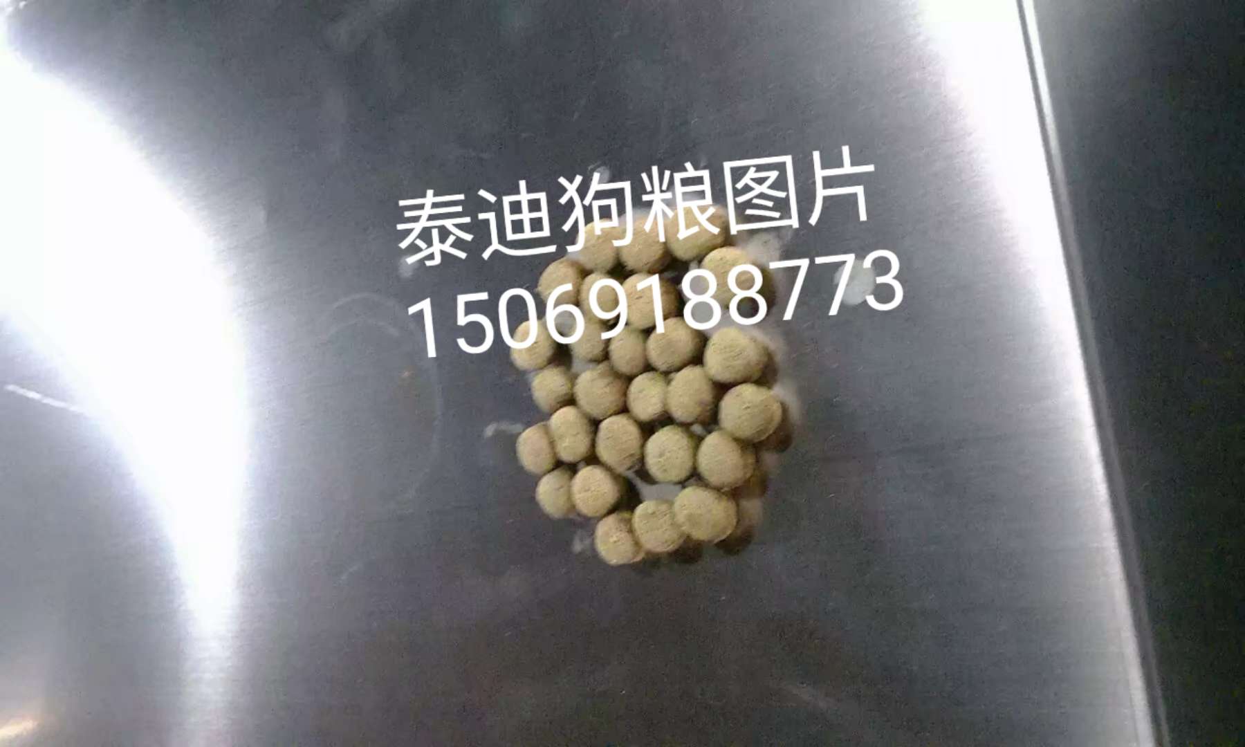 漂浮鱼粮造粒机哪里卖狗粮机宠物食品生产线