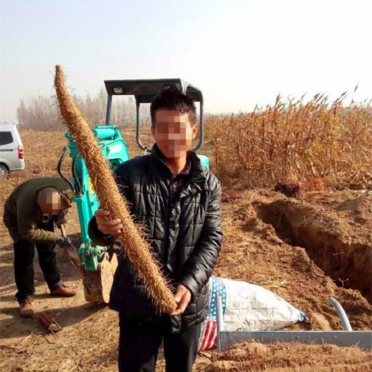 小型挖山药机，小型农用挖掘机生产厂家