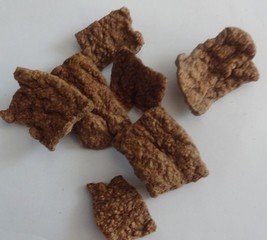 供应美腾植物组织蛋白素肉生产线设备