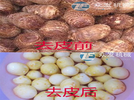 萝卜去皮清洗 山药去皮机去皮清洗设备