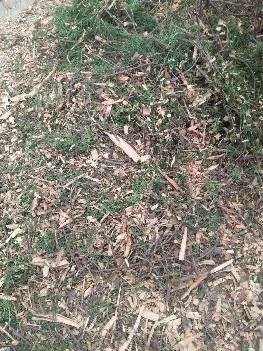 移动式园林树枝粉碎机