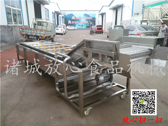 FX-800香辣小鱼仔加工生产线