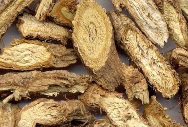 【中药材防风种子价格防风种子种植防风批发防