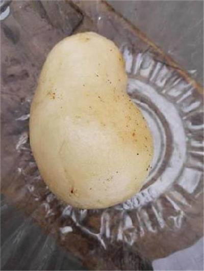 哪里可以委托鸭宝上门收购现金交易