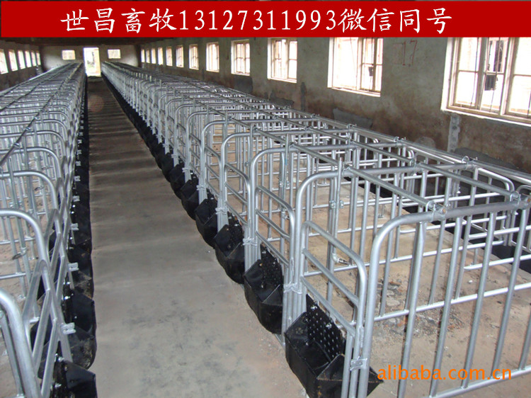 养猪【限位栏】母猪定位栏全新价格厂家直销
