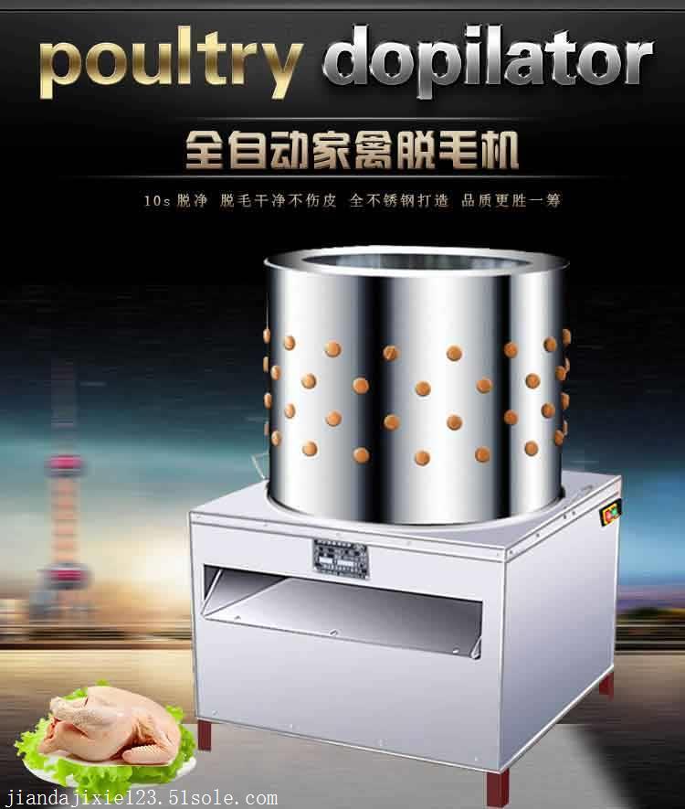 家禽脱毛机厂家直销 脱毛机多少钱一台