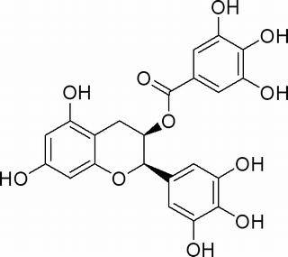 【表没食子儿茶素没食子酸酯现货】价格,厂家