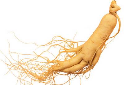 名贵吉林人参拍卖投资率高吗