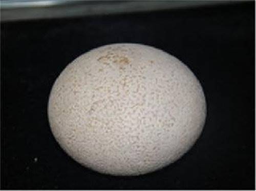 【马宝拍卖成交价格是多少】价格,厂家,杂项拍