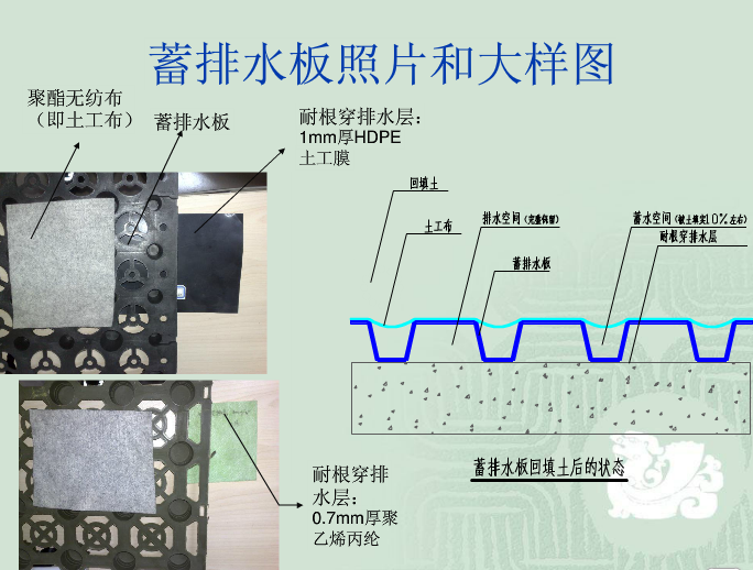 济南20厚凹凸型排水板青岛3公分排水板