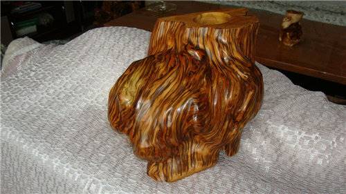 崖柏私下交易去哪风险小