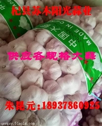 杞县苏木阳光蒜业大量供应优质大蒜