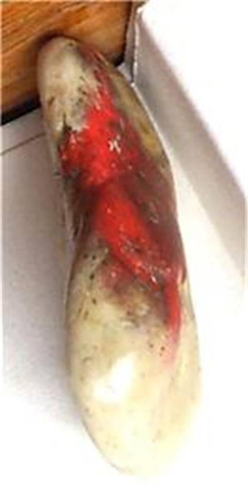 【昌化鸡血鱼私下交易有什么风险】价格,厂家