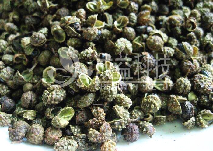 木材烘干机