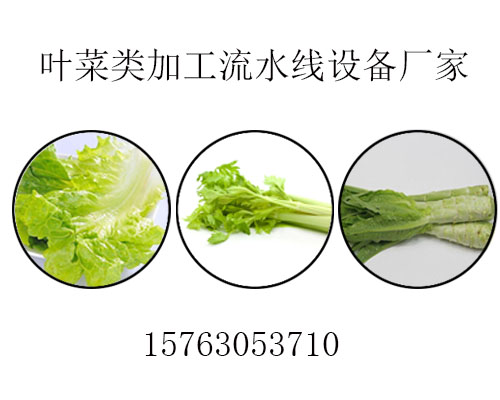 蔬菜加工流水线