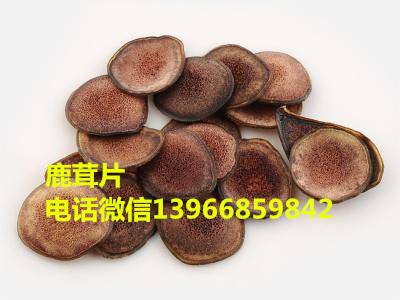 今年鹿茸片价格是多少钱一斤(克)