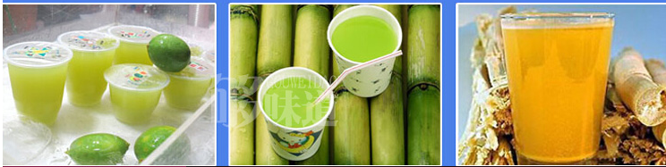 豫隆恒甘蔗榨汁机
