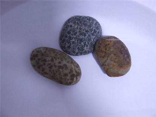 【植物化石投资风险大吗】价格,厂家,杂项拍卖