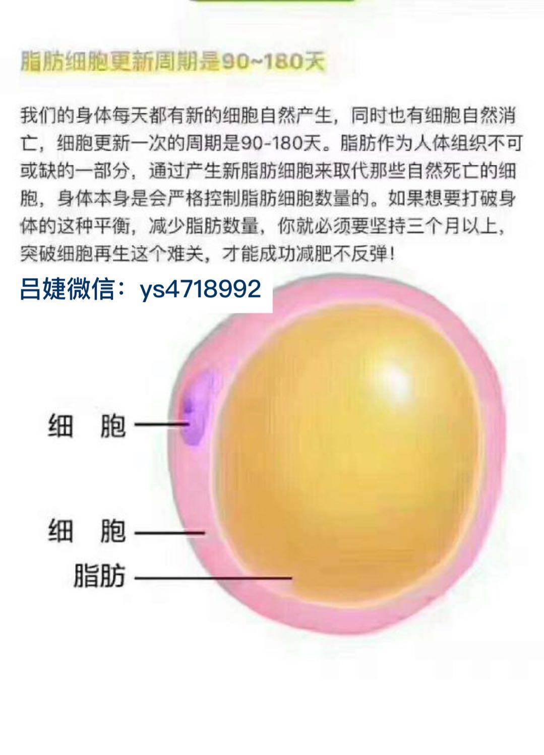 养森瘦瘦包一盒多少钱 减肥效果怎么样