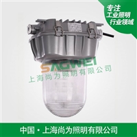 SW7100B全方位防眩泛光灯,车间,水泵房,煤仓内,厂区,栈桥,廊道等