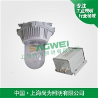 SW7100C防眩应急顶灯走廊,室内办公,,厂房,锅炉房,地下通道,照明