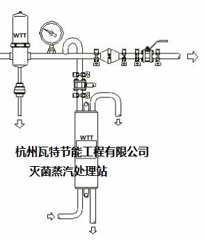 灭菌蒸汽处理站