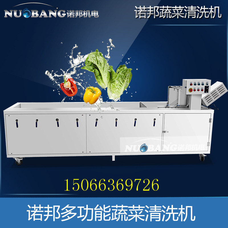 蘑菇清洗机 菌菇蘑菇气泡冲浪清洗机 蔬菜