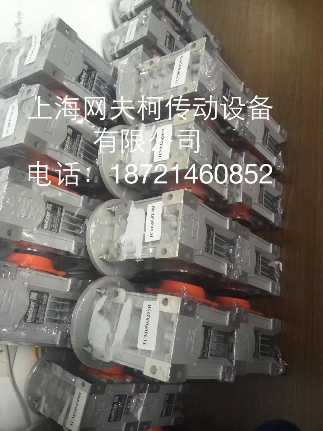 TRANSTECNO减速机