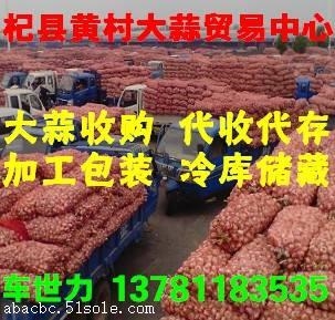 河南杞县黄村大蒜贸易中心常年供应杞县印尼蒜和拔米蒜