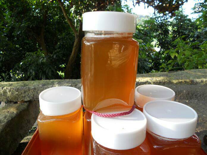 土蜂蜜农家自养中蜂两斤装百花蜜荔枝蜜枇杷蜜