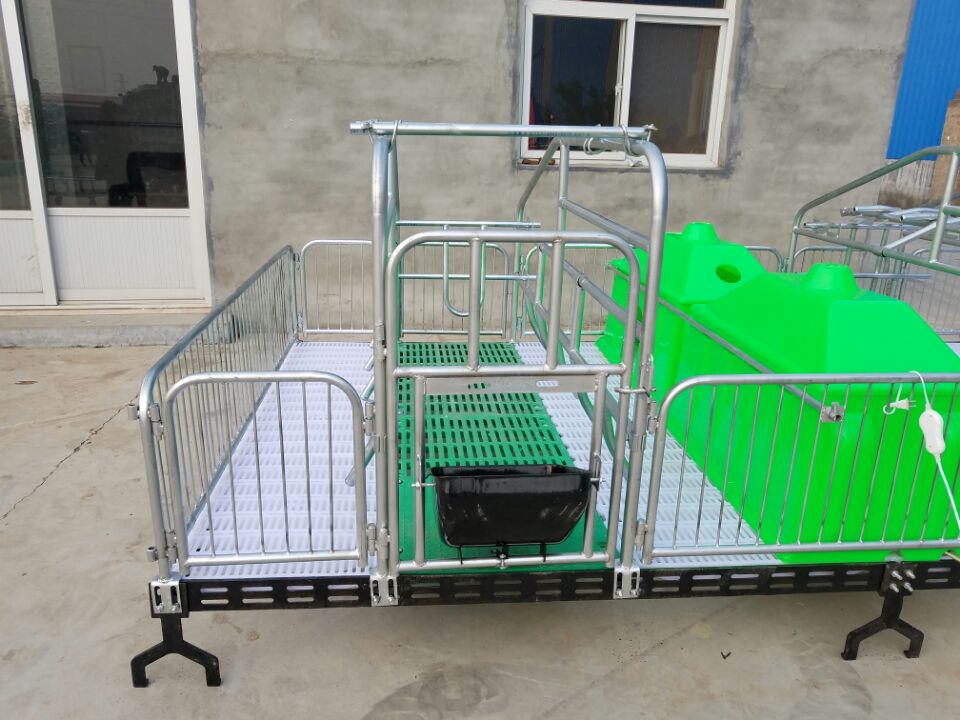 母猪产床双体养殖设备
