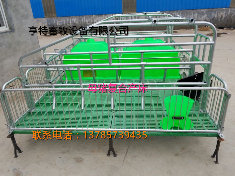 母猪产床双体养殖设备