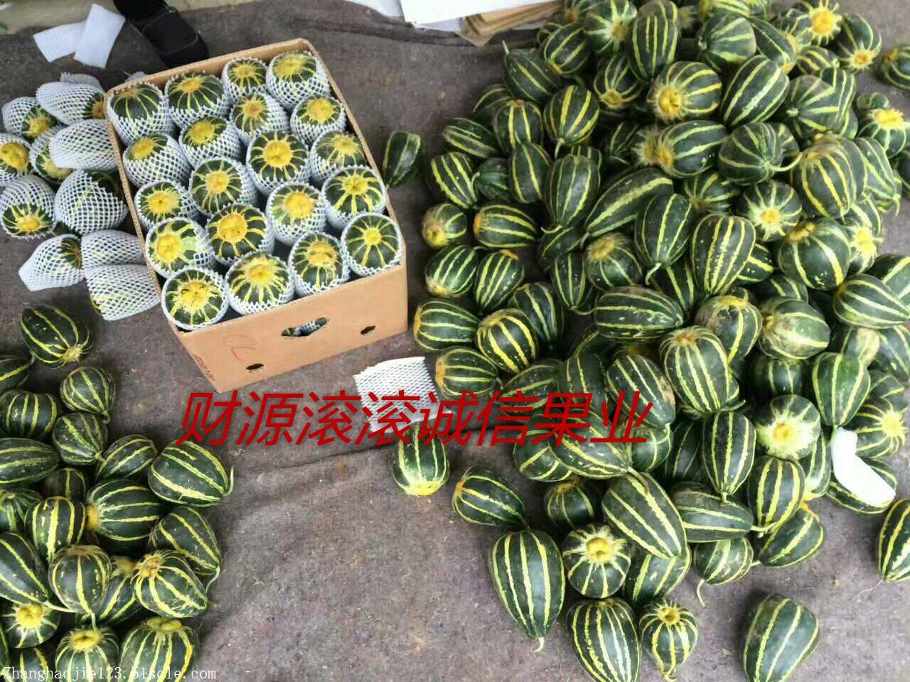 羊角蜜甜瓜,冰糖籽图片_高清图-潍坊张豪杰瓜