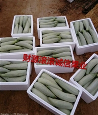 羊角蜜甜瓜,冰糖籽图片_高清图-潍坊张豪杰瓜