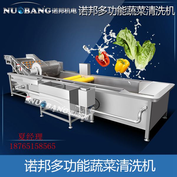 藕片清洗机 气泡冲浪喷淋洗菜机