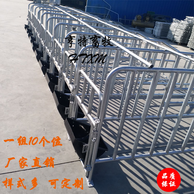 供应母猪定位栏育肥猪限位栏厂家直销