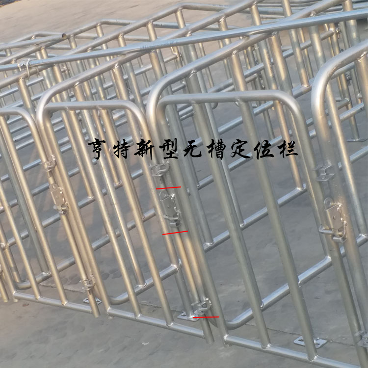 供应母猪定位栏育肥猪限位栏厂家直销