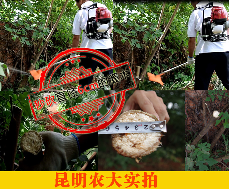 广州本田割灌机 汽油割草机 多功能除草机